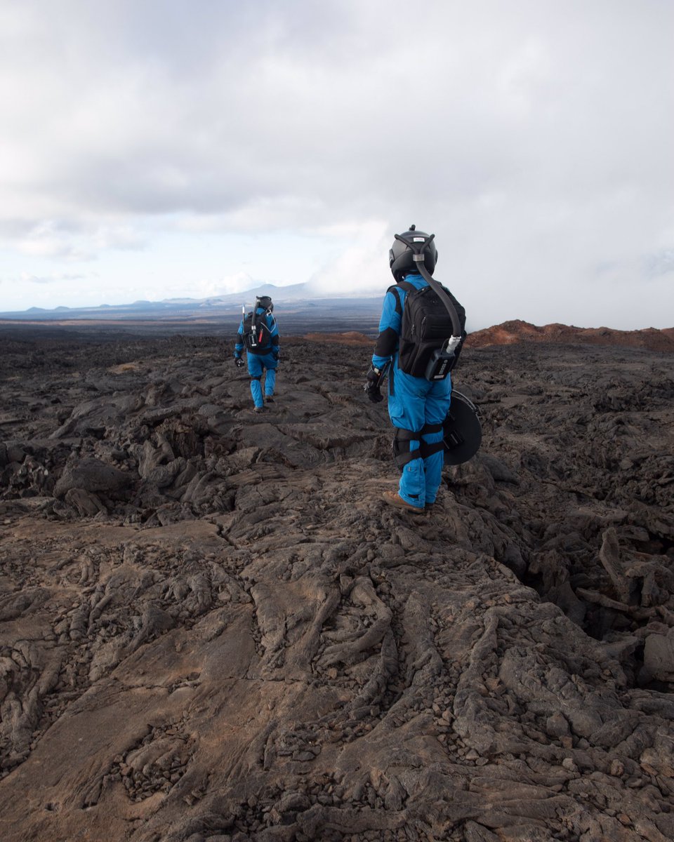 HI_SEAS's tweet photo. Happy Thanksgiving from our Moon family to your Earth family! And just like our normal Earth Thanksgivings, we were all in a food coma after, with plenty of leftovers – some things never change, even in space.
 
@astro_michaela @astro_greaves @antenna_karen #hiseas #seleneII https://t.co/0NPMKbKbWp