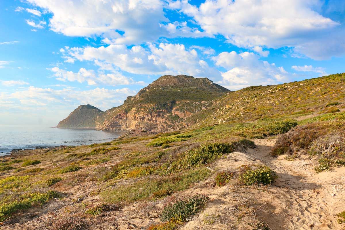 outinafricade's tweet photo. Fantastic day trips from Cape Town - Stingy Nomads https://t.co/siVojin6W6 https://t.co/X5RaEs9TyO