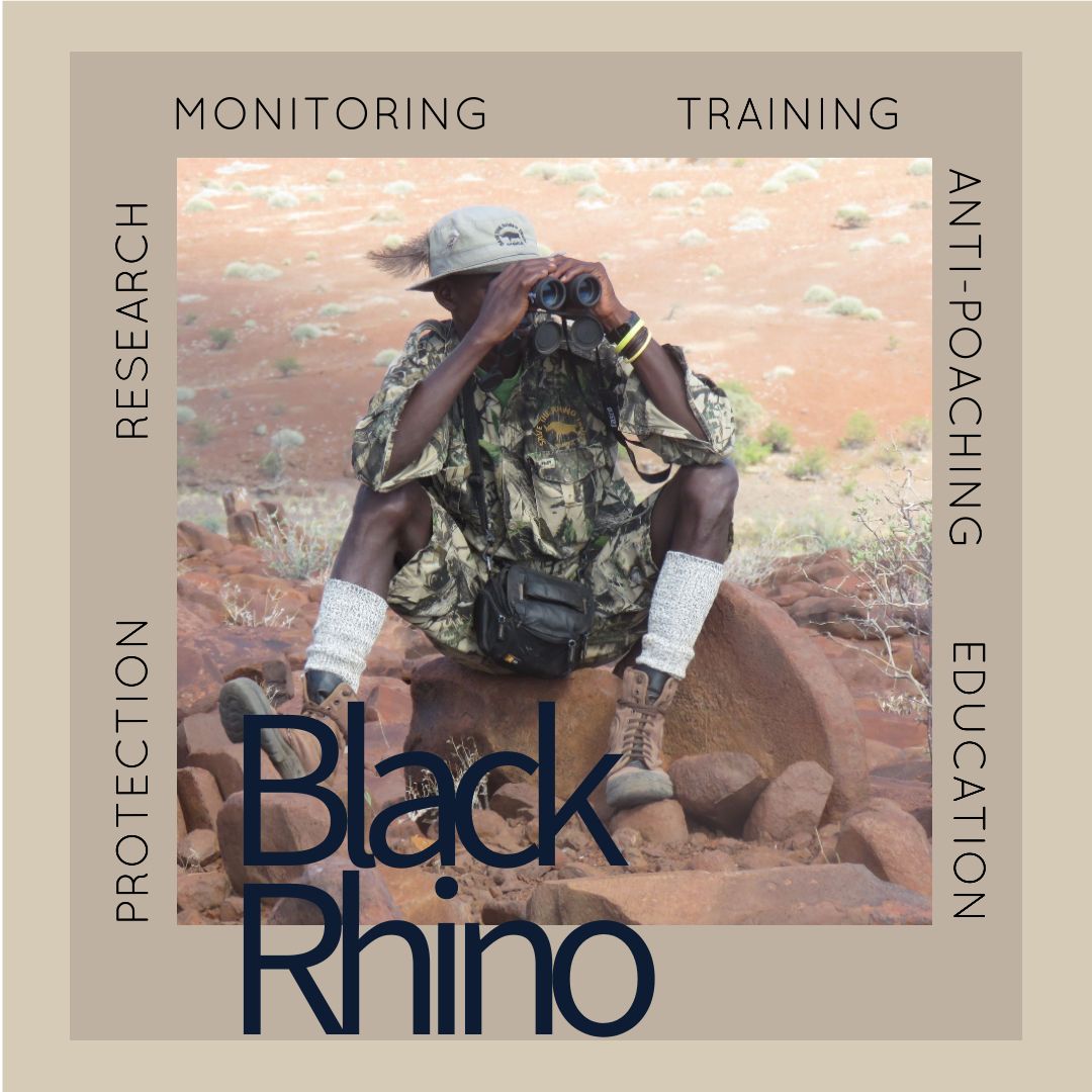 Research, Education, Monitoring and Anti-poaching are our focus areas to ensure we save the desert-adapted black rhino.

#blackrhino #rhino #savetherhino #conservation