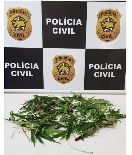 It's official: Rio Grande do Norte police have won the War on Drugs