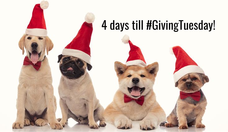 AutoimmuneWalk's tweet image. Countdown to #GivingTuesday!  This year, AARDA Education Programs take the spotlight.  Your #GivingTuesday gifts on December 1 will help support our web site; webinars; education modules; patient toolkits; publications; and more!  facebook.com/donate/6989696…