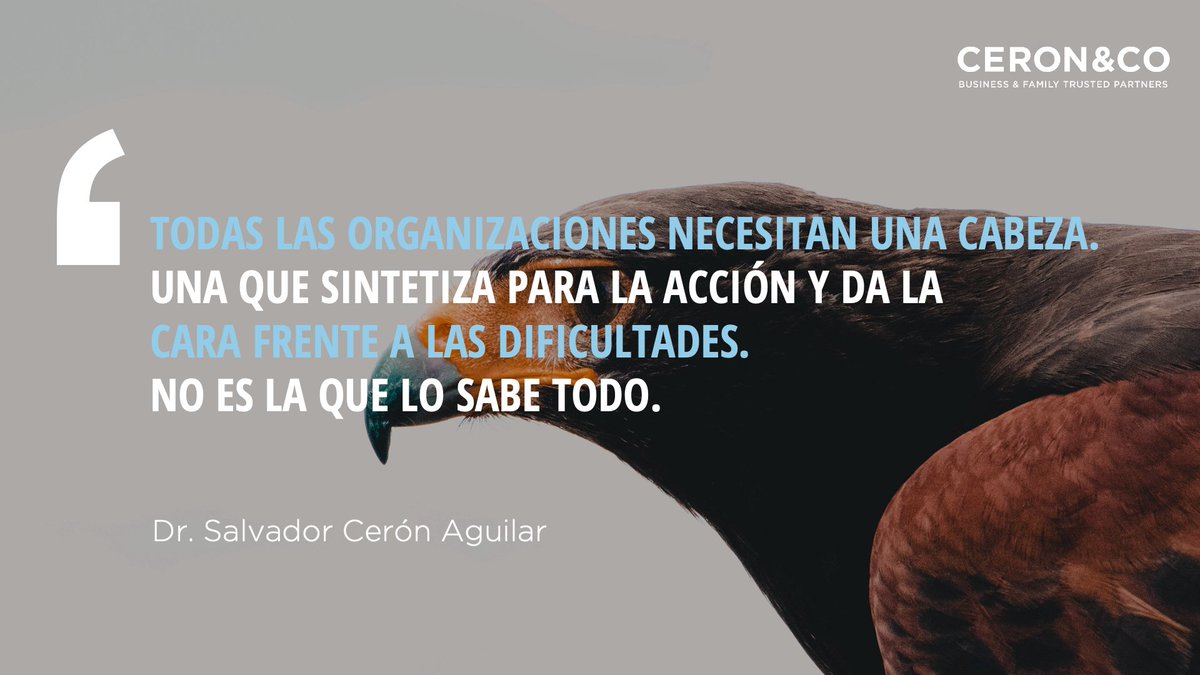 ceronandco's tweet photo. https://t.co/aHV9j7x1So