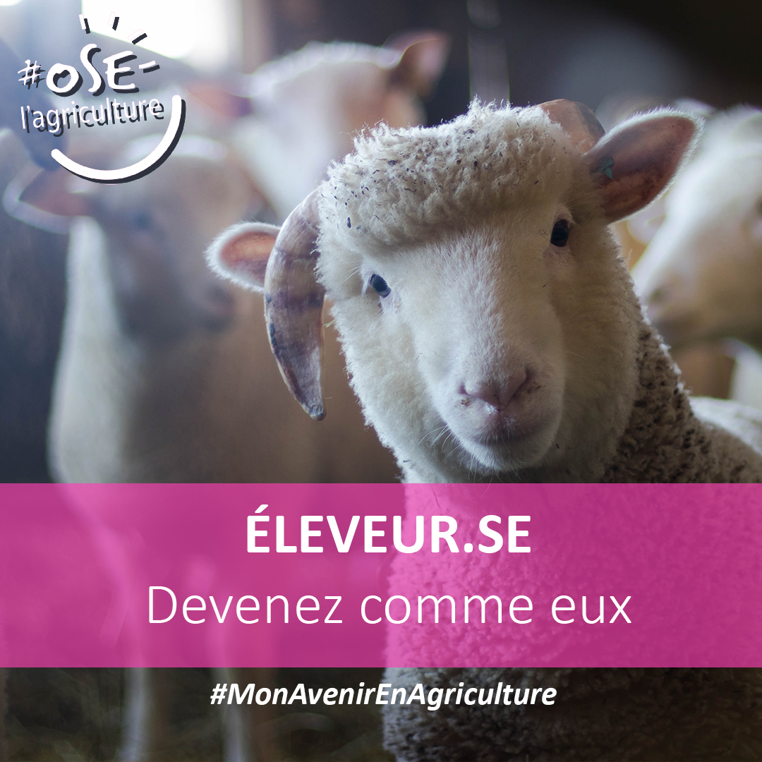 AnefaNa's tweet photo. Qu'est-ce qu'un éleveur?
L'éleveur est responsable de la santé, du développement et de la reproduction des animaux dont il est responsable. Selon les espèces animales élevées la filière implique différents domaines d'activité. Les éleveurs jouent un rôle clé dans l'agriculture! https://t.co/jNY2CQ5W9n