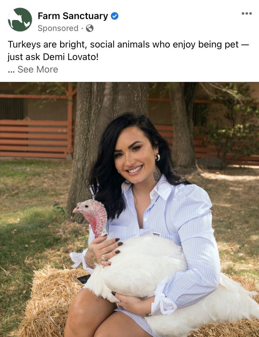 ordurebizarree's tweet image. 