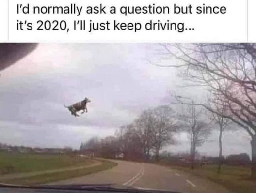 IndianWellsCA's tweet photo. Summing up 2020 . . . .
#TheYearInAPicture
#WhenCowsFly https://t.co/ZfXnhjgYgE