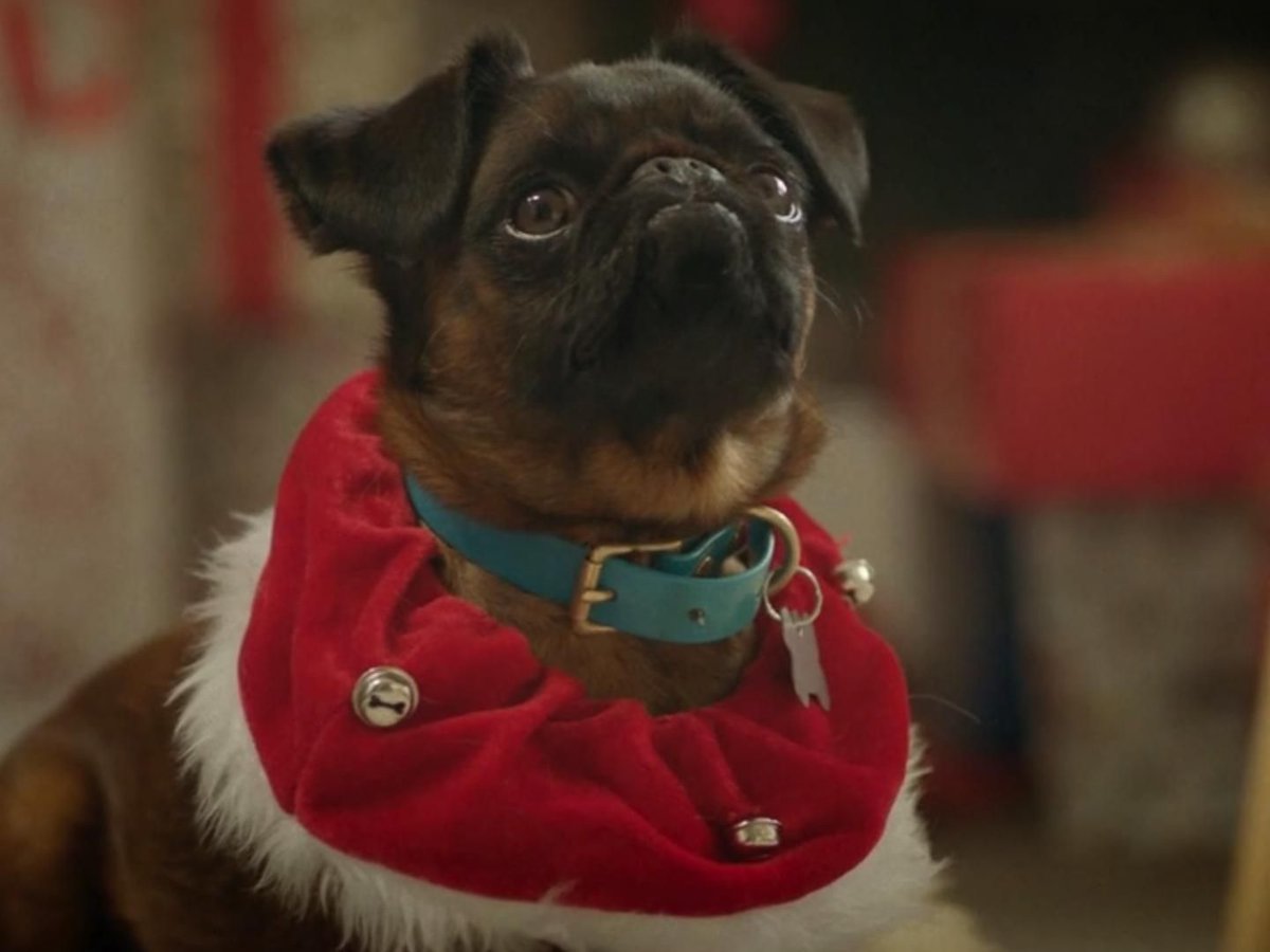 adsoftheworld's tweet image. Check out the latest Smiths City ad by BrandAid, New Zealand: A Whiteware Christmas j.mp/3nZpWLB