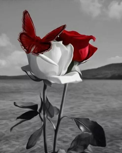 martinelefort1's tweet photo. I have really missed #Twitter, #missed the laughs ๐
#Talking ๐
#sending laugs gifs ๐
#have a #safe and #happy #laughing #day on #difficult #times, sometimes people's ask for them self may i lauh know or not, is to early, #NO if you #READYANDCAN #DO #IT #BESTMEDICATION๐โคโค๐ https://t.co/NJdlX60vNg