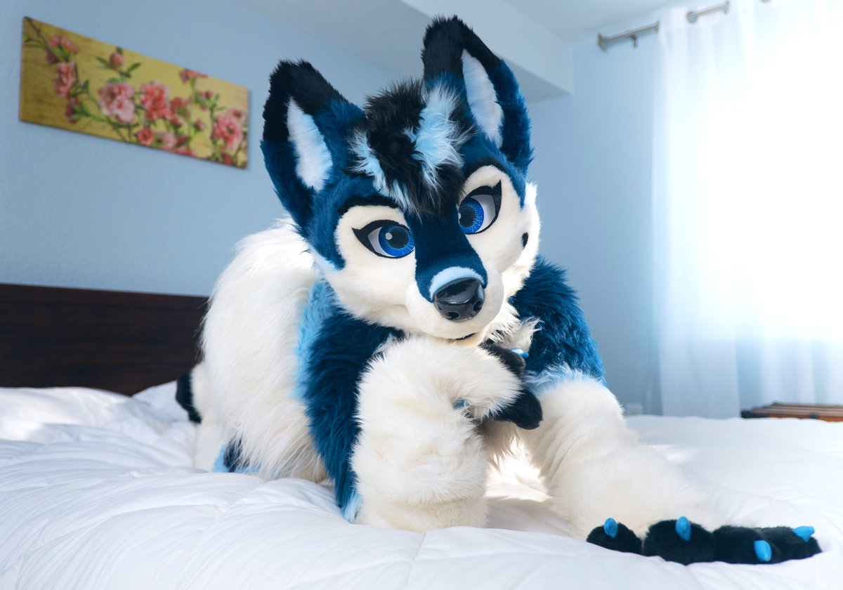 ThatKrazyK9's tweet photo. Oh hey YOU! I hope you’re having an amazing #FursuitFriday 💙🐾 

📸: @AshCoyote https://t.co/MZWtIAWXOS