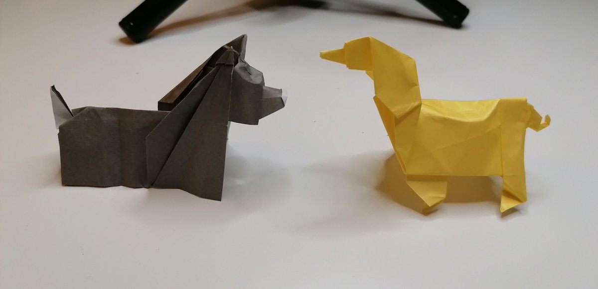 haidewiets's tweet photo. Daily updater #258 Friday November 27 2020
John Montroll Dogs:
P Scottish Terrier
B Giant Schnauzer
G Yorkshire Terrier
Y Afghan Hound
#johnmontroll #blackwidow #robertjlang
#3dorigami #modular #haidewiets #ZheZhi #origami #papercraft #paperfold #origamilove https://t.co/WZa2cii0Mg