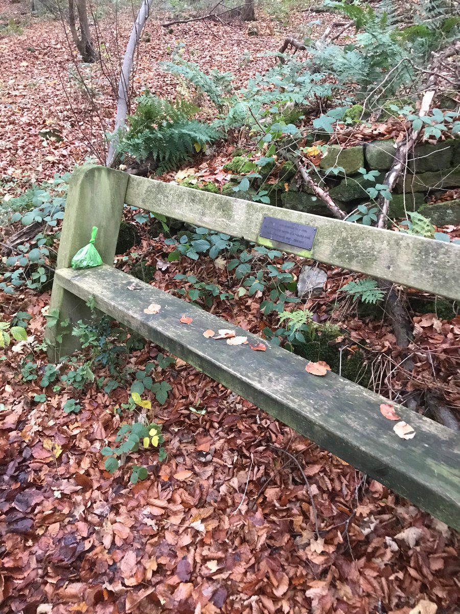 Dear dirty dog shit bagger of #swinsty. Next time you pick up your dogs mess please don’t leave it my wife’s mother’s memorial bench, fuming #scum #otley #fewston