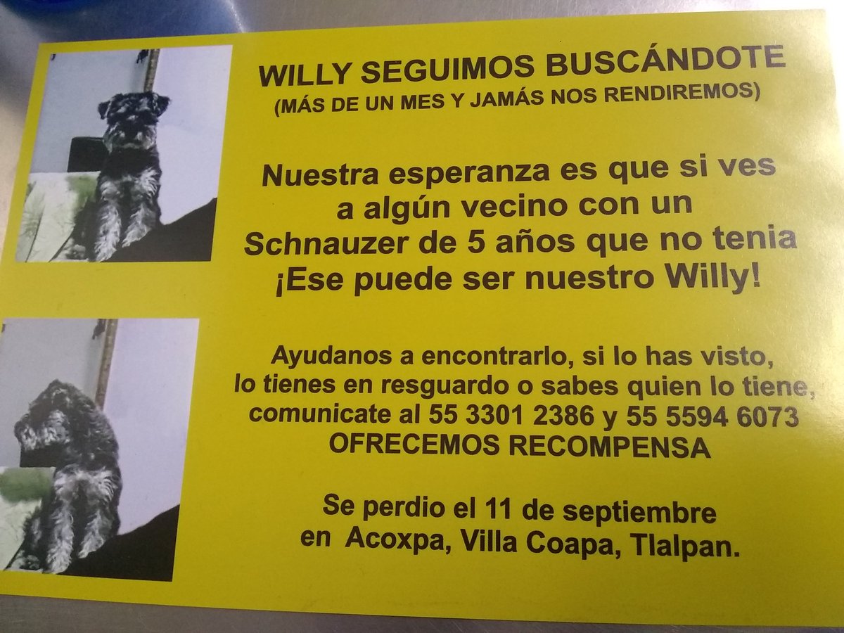 soymolid's tweet photo. Me dieron este volante.
#SeBusca #Wlly Schnauzer  en  #Coapa #CDMX 
Gracias por su ayuda. 
#Tlalpan #Coyoacán #Xochimilco 
@Coapa_ @CoapaXochimilco @TlalpanVecinos @TlalpanCoyoacan https://t.co/WUkW3QVmbx