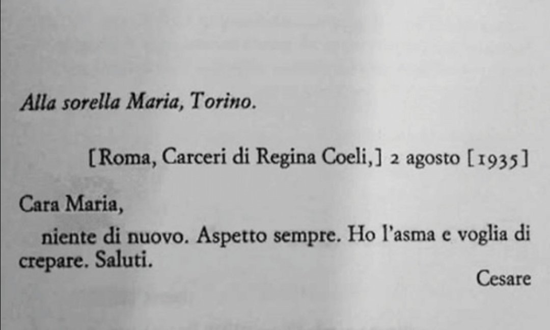 zuccheriNo tweet media