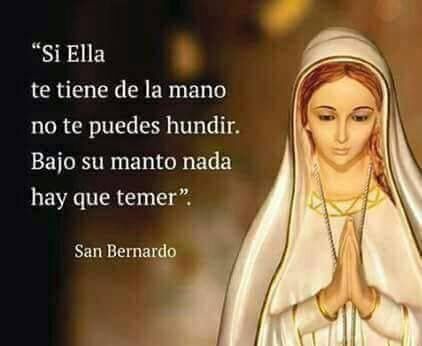 ReneTrejo's tweet photo. https://t.co/v9jd1O1owB