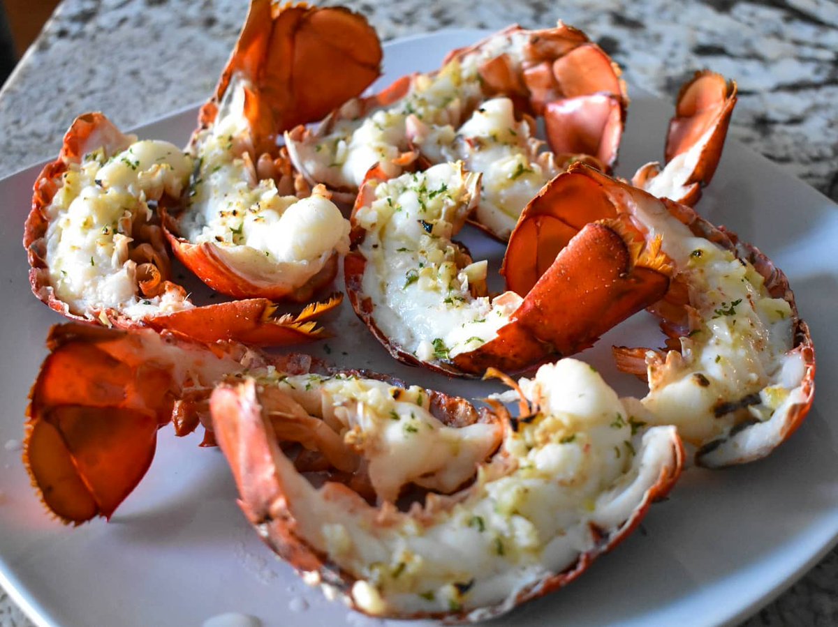 plsGetTheBread's tweet photo. On a see food diet 👀🦞 If you like lobster, @getmainelobster is having a black friday sale for up to 50% off today! I was sent some split lobster tails last week and they were so easy to make. It was actually my first…

📸 https://t.co/HAIjREQ5SR via https://t.co/QgeA1VhXK4 https://t.co/cHAJFNApkE