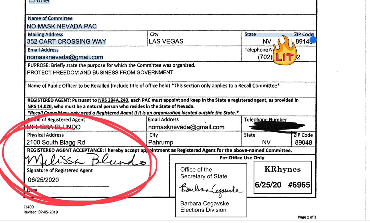 Then, there is make the pandemic worse! The BLUNDER’s ... I mean BLUNDOS are aligned with a PAC in Nevada called the “No Mask Nevada” PAC. How do I know? EASY. Public records Note the oddly terrifying statement of purpose: “Protect Freedom and Business from Gvt”