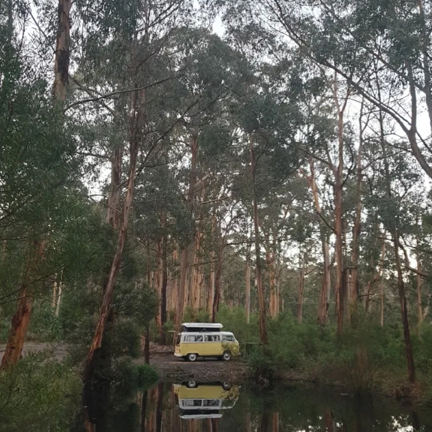 VDiscovers's tweet photo. @hireakombi is all about the journey ...

https://t.co/RnDkEarr1Q

Hire A Kombi #kombi #vw #campervan #greatoceanroad #vwkombi #bellarinepenisula  #explorebellarinepenisula #visitgreatoceanroad #gor #discovervictoria #victoriadiscovers https://t.co/D7zwqfcWBC