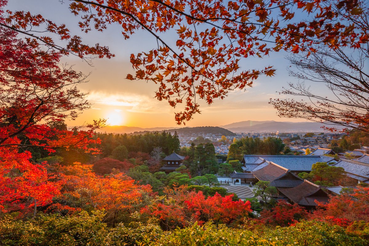 LUKA__0_0's tweet image. 東山慈照寺・夕

M9-P