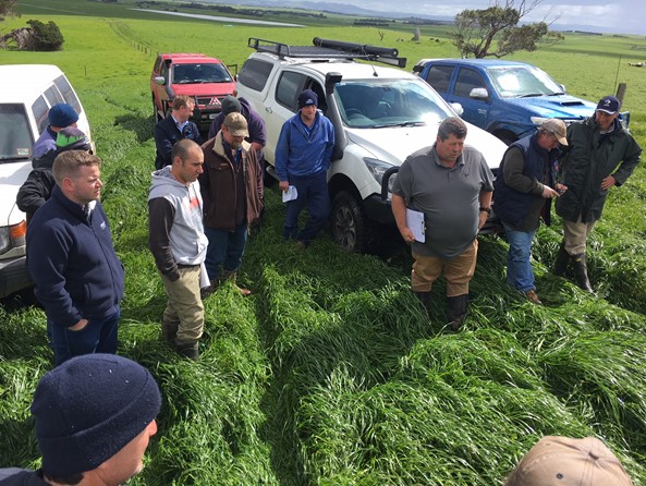 GippsDairy's tweet photo. Yanakie Focus Farm Final Open Day!
Join Alex, Tricia, Jared and Mel Moon along with their facilitator, Matt Hall and support group at their final Open Day'
When: Wed, 16 Dec at 10.30am
More info https://t.co/wQouHOryUW
#FocusFarm #Yanakie #SouthGippsland #Farm #dairyfarm https://t.co/1RTUkTfO9W