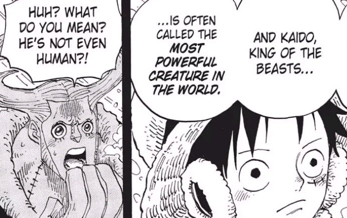 Coming over to Kaido's race. First we look at his title. He's is called the "Strongest Creature in the World." I know creatures include all living things but this title is given to him because it makes him distinct from humans. This is confirmed by Nami at Punk Hazard. (12/21)