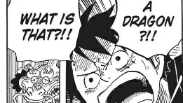 Following this, Big Mom refers to Kaido as a "thing" and then in Wano, Law points to the dragon and tells Luffy "That's Kaido" and I believe that's intentional on Oda's part. Once again, it was never revealed that he has a Mythical Zoan Dragon Devil Fruit. (13/21)