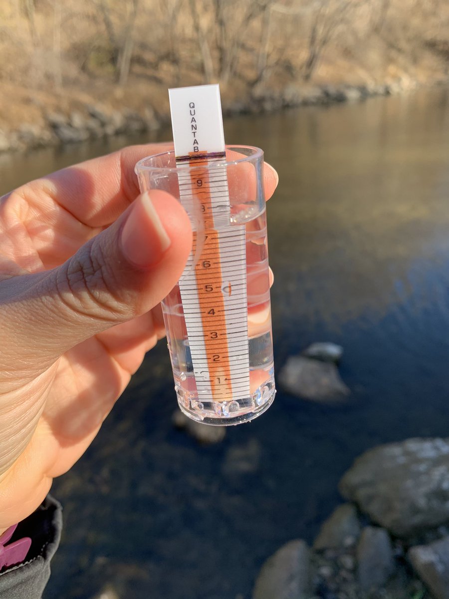 Kelly Nascimento 📚🌎 tweet media