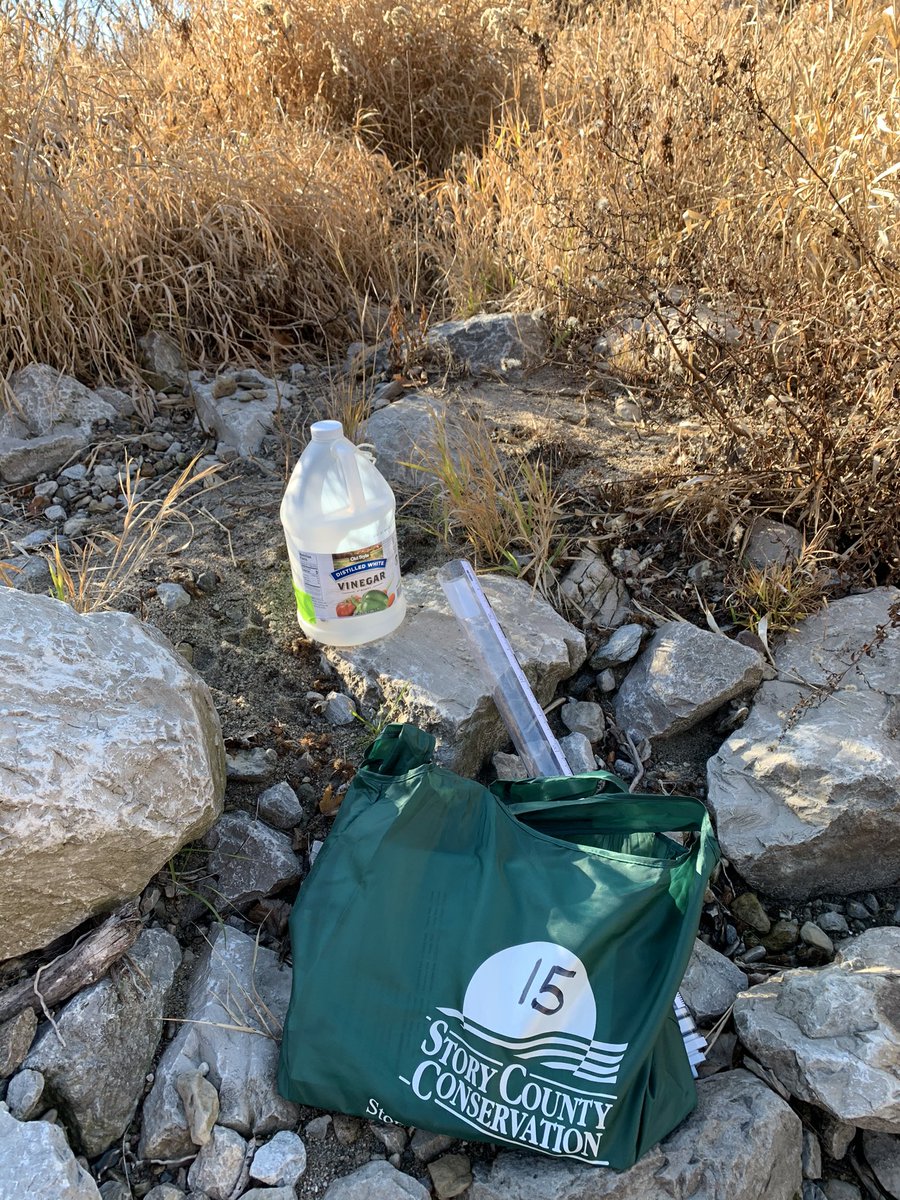 Kelly Nascimento 📚🌎 tweet media