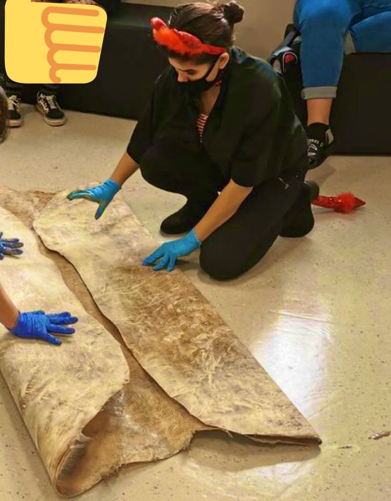 R_RStevenson's tweet photo. Making more frames for stretching out hides &amp; 2nd soak is complete! @Tammy10098631 &amp; Knowledge Keeper Gary Gott have been working with students and hides since September in our Culture Room &amp; Secret Garden! #balfourpride @BalfourColl https://t.co/xq06iqZ94X