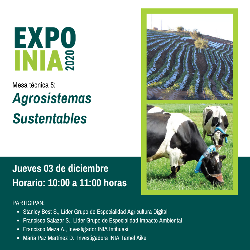 Investigador de INIA Remehue expondrá sobre sistemas ganaderos carbono neutro. En la Expo INIA 2020, el doctor Francisco Salazar dará a conocer antecedentes sobre las mediciones de gases de efecto invernadero y alternativas de mitigación.