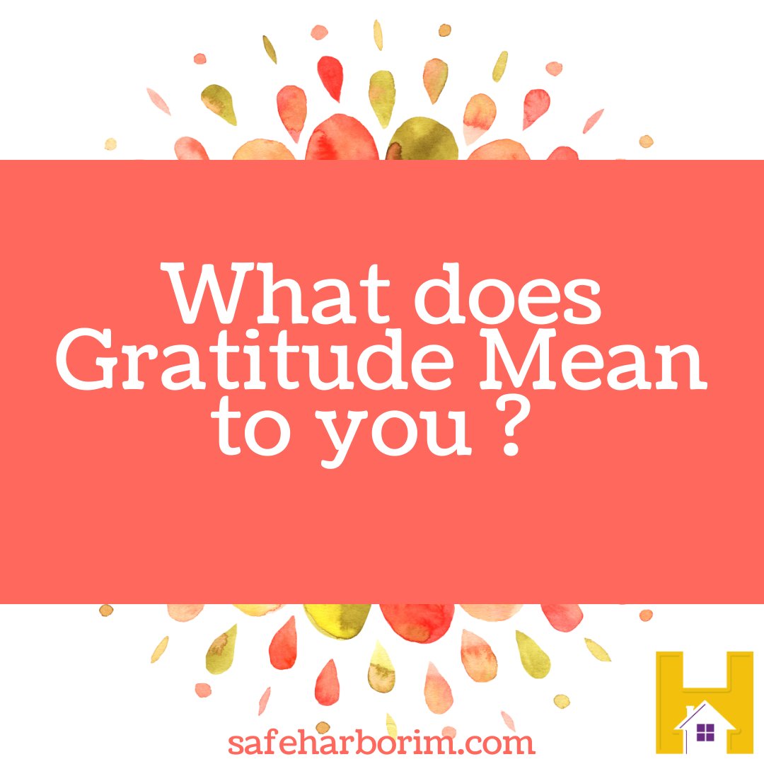 During the month of giving we want let our followers know how much we care and show our gratitude towards you. We at Safe Harbor International Ministries want to ask what does gratitude mean to you? Comment down below!! 🤝. #healing #mindset #safeharborim #shim