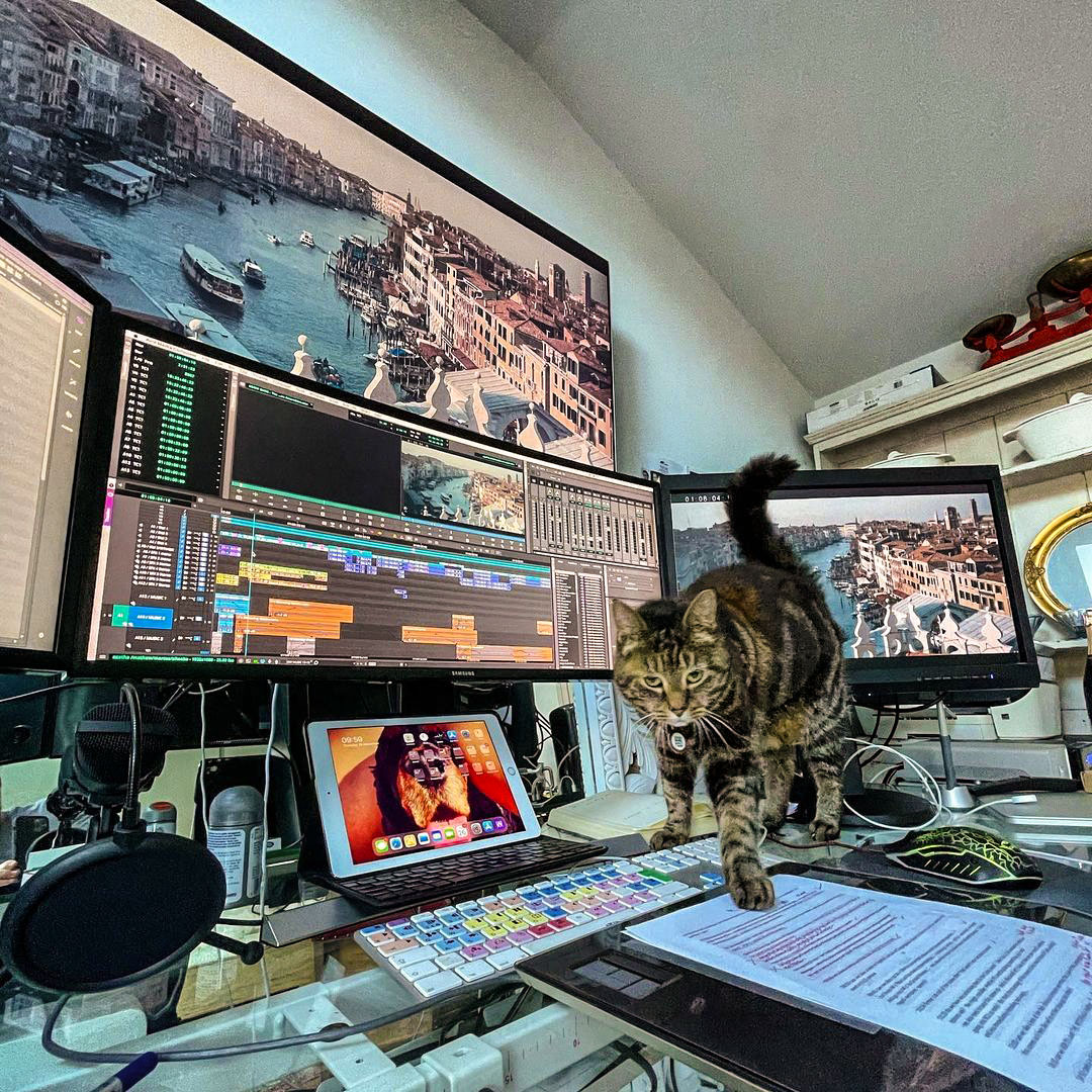 Avid's tweet image. 😺 A furry friend visiting Paul Knight's edit room

📷 instagram.com/pdknight
▶️ avid.com/mediacomposer

#avideditor #cat #videoediting #postproduction #mediacomposer #avid #iamavid