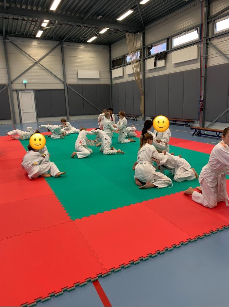 We doen weer mee aan schooljudo. Het thema dit jaar is samenwerken. Er werd hard gewerkt door alle kinderen in onze gymzaal.