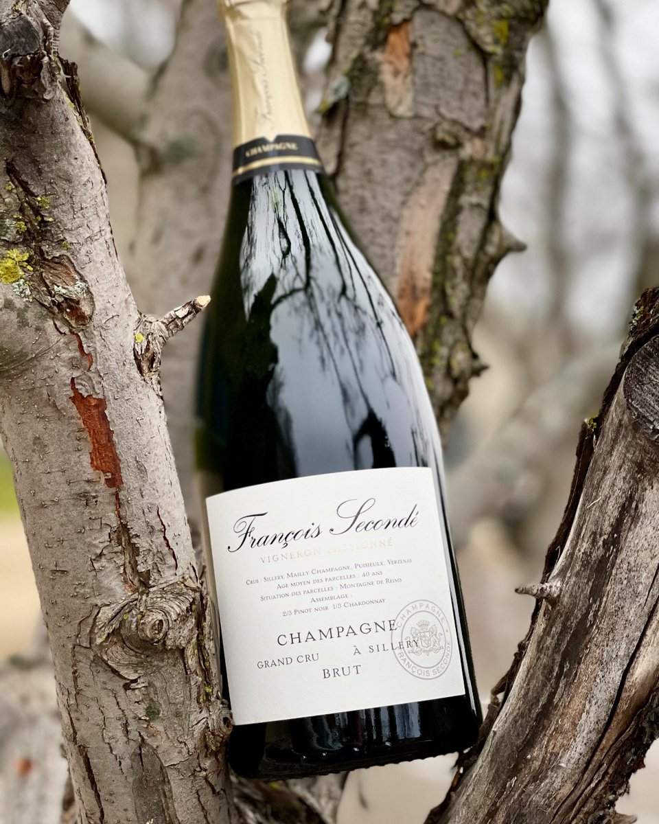 ⛴️🍾François Secondé MAGS have arrived!! Brut Grand Cru Sillery NV, from Verzenay and Puisieux, ⅔ Pinot Noir ⅓ Chardonnay, with 30% from a Perpetual reserve that was started in 1982. 

We are very proud to be among the first two importers in the USA for the wines.

#champagne