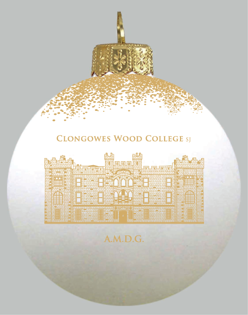 clongowes's tweet photo. To order your limited edition Clongowes bauble in aid of the #DuckPush for @cmrf please contact duckpush@clongowes.net.
They cost just €10 with proceeds going to a great cause!
#Christmas #Clongowes #BoardingSchool #Kildare #Ireland https://t.co/sXNY4HzoLQ