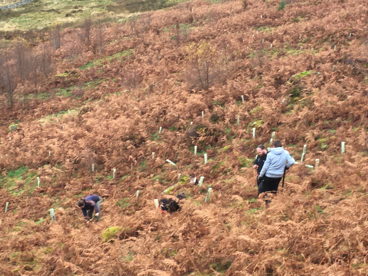 BerthaParkPS's tweet photo. S2 Outdoor Ed group @BerthaParkHigh spent their day in Aberfeldy today tree planting. Lots of hard work and fun was had by all as they work towards their John Muir Award. Well done  🌳🌲👏boys. #ec #rc https://t.co/0zSNb3KbDT