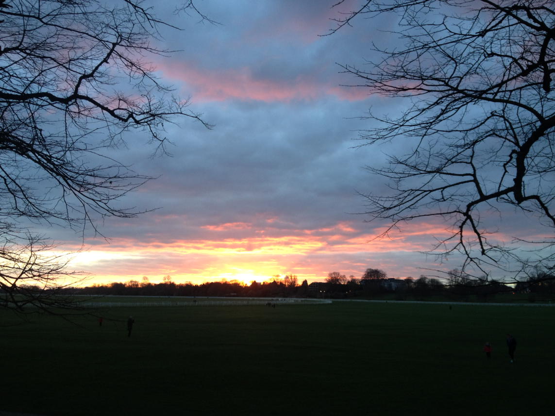 AmendeFL's tweet photo. Stunning sunset over #York #Knavesmire #racecourse this evening. #briefbutbeautiful https://t.co/AQT2jnQPIC