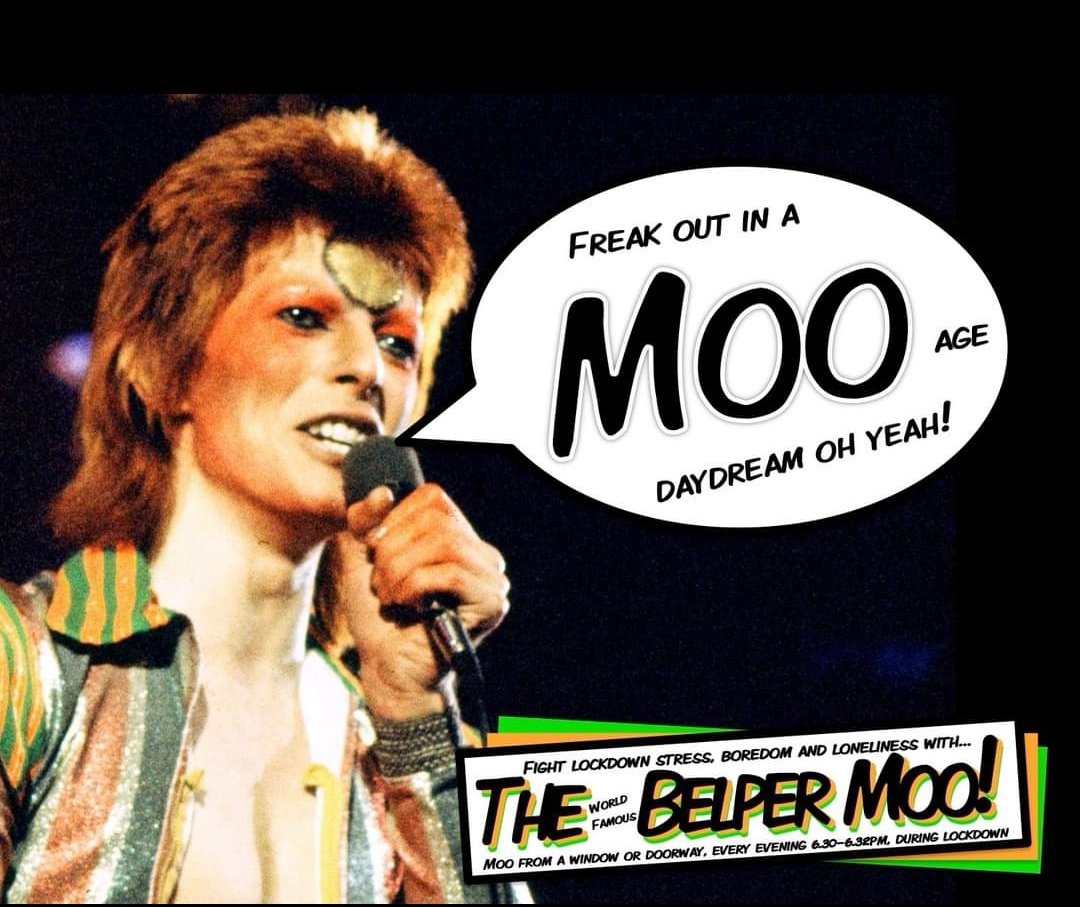 thebelpermoo's tweet photo. Forever dreaming of the moo 😍

How's everyone doing? Show of hands who had their Christmas decorations up anyone?! See you out there real soon! 
#thebelpermoo #lockdownmoo #thegreatbritishmoo https://t.co/yrKhJC5GDp