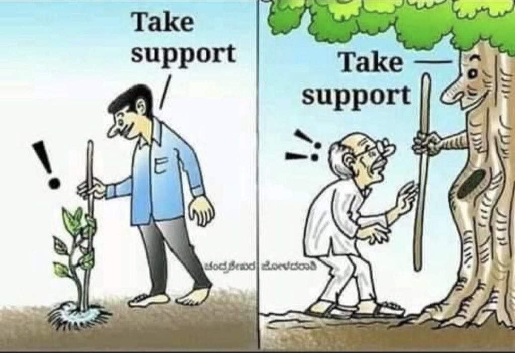 ParveenKaswan's tweet photo. Green + Blue = Life. https://t.co/ToSUTX8QDA