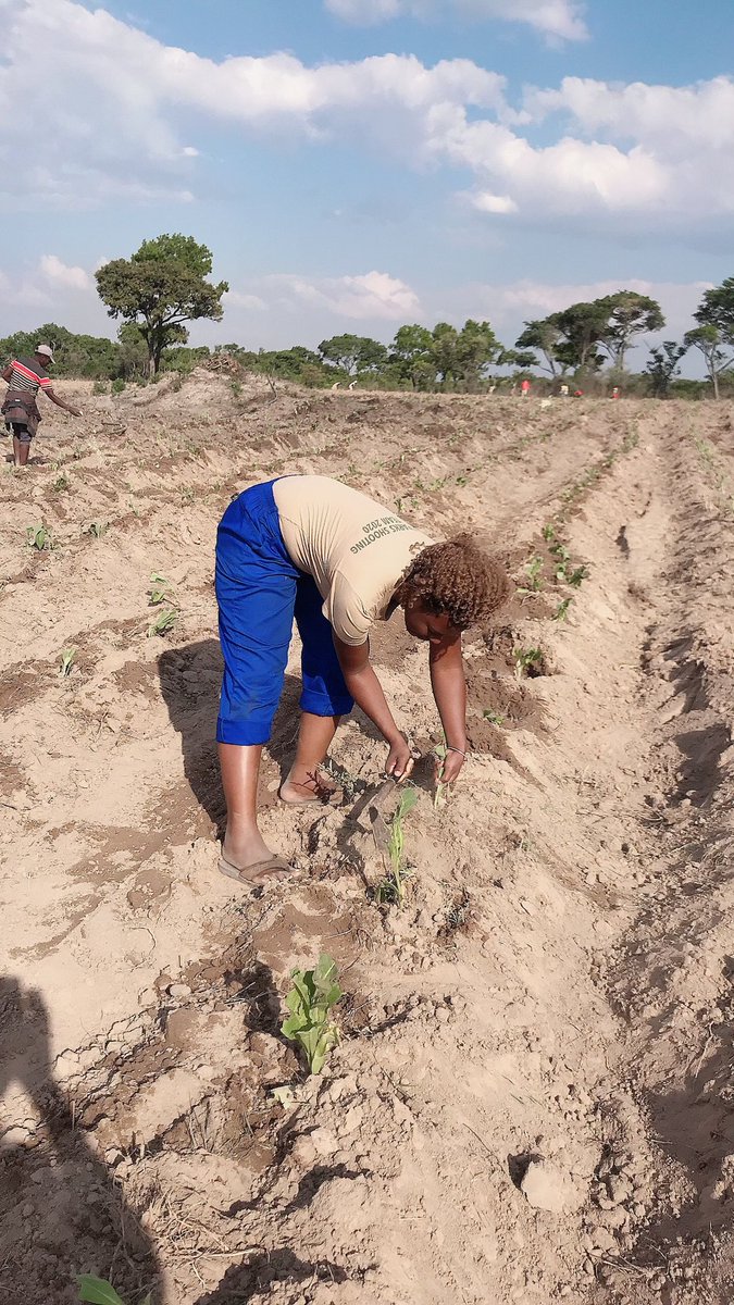 agribusiness1. tweet media