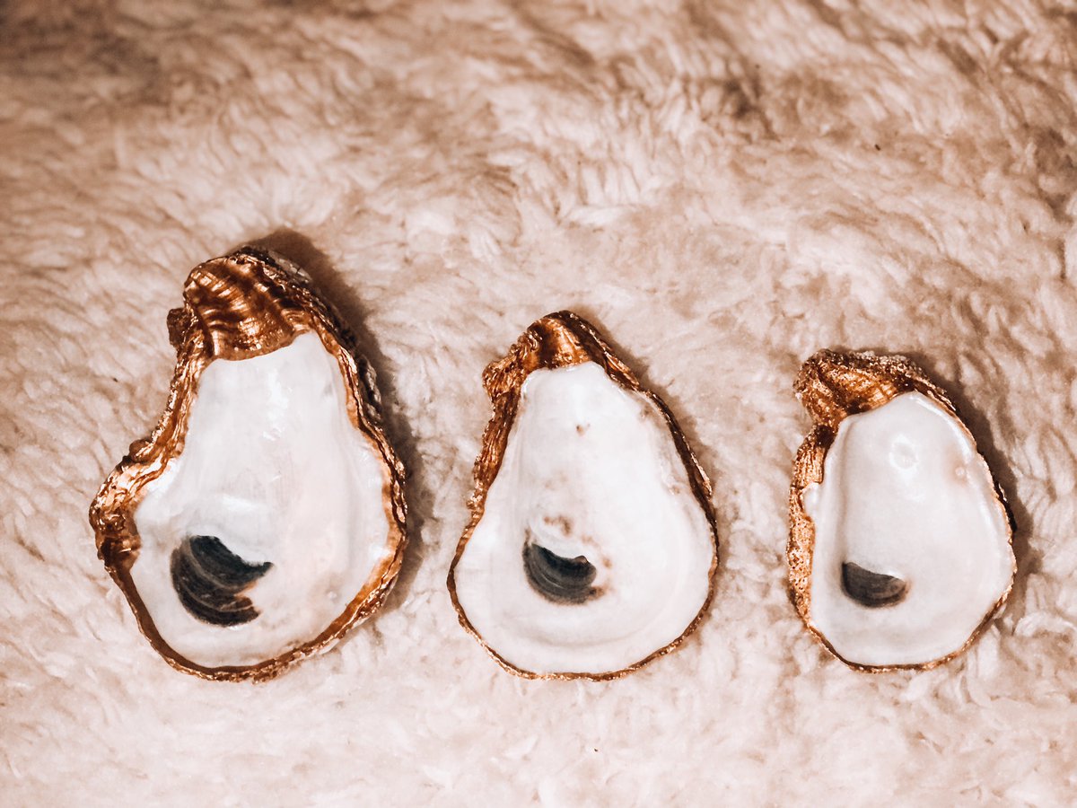 i paint gold trimmed oyster shell ring/trinket dishes  they come in baby, medium and large sizes and make a pretty accent piece or a sweet gift.  http://etsy.com/shop/gildedbye&nbsp;… + IG: @gildedbyemily