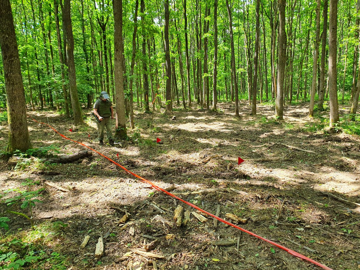 UN_Disarmament's tweet image. As the #CCM2RevCon continues today in virtual format, read more about #clustermunitions and how the #internationalcommunity is #working #together to eliminate them. See 👉 bit.ly/3nVwQBs.