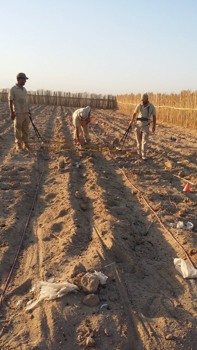 UN_Disarmament's tweet image. As the #CCM2RevCon continues today in virtual format, read more about #clustermunitions and how the #internationalcommunity is #working #together to eliminate them. See 👉 bit.ly/3nVwQBs.