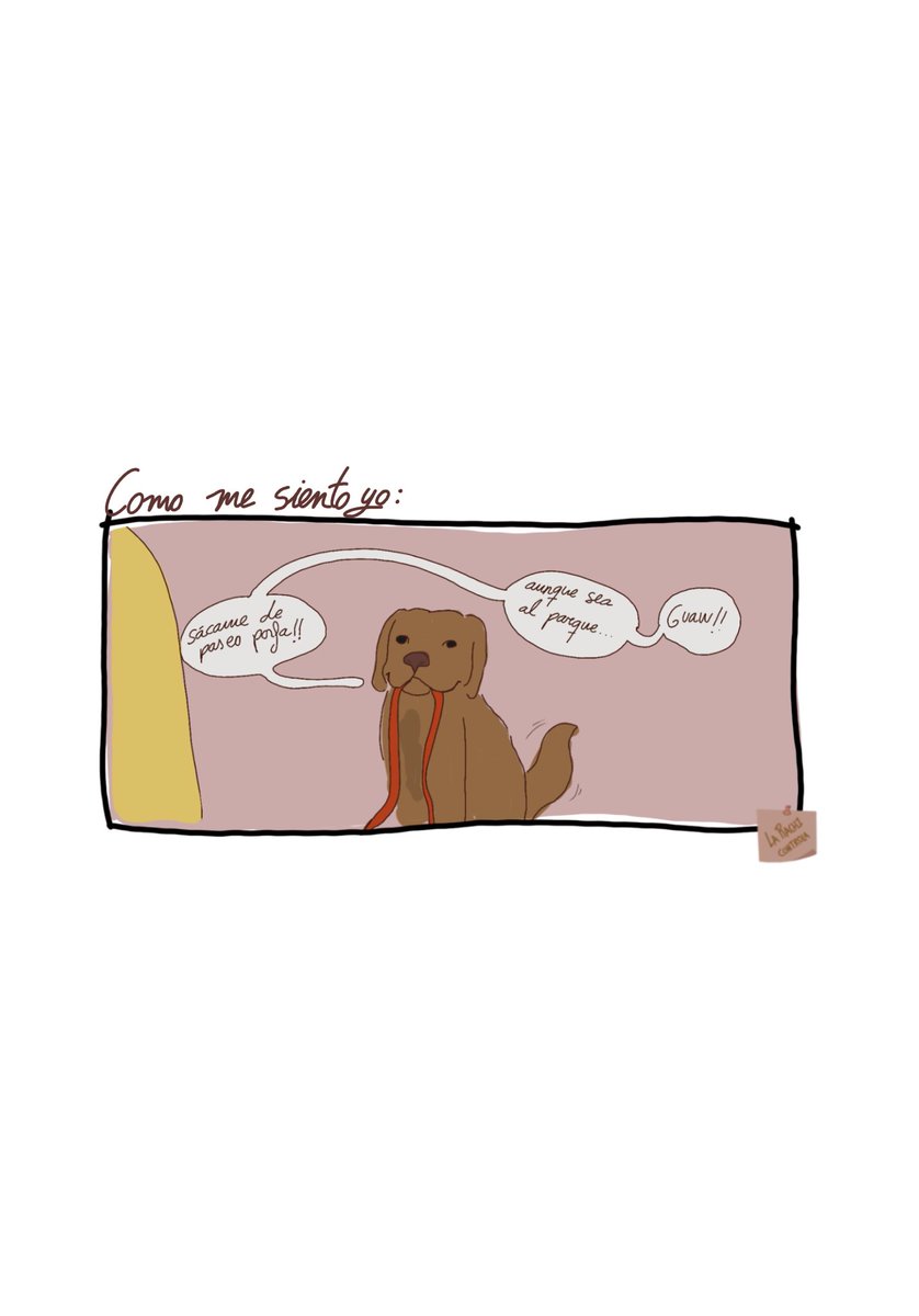 LaRachiControla's tweet photo. ¿Creéis que hay algo que la cara de cachorrillo no pueda arreglar? 
#LaRachiControla #GestionaTusMovidas #Webserie #TransmediaContent  #Animation #DibujosAnimados #Comic #TirasCómicas  🐶GUAW! 🐶 https://t.co/cdZ8azVvfc