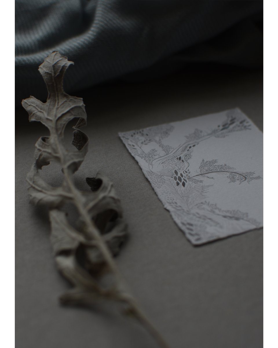 Sophie Erin Evans (@sophieerin_) on Twitter photo Feeling festive and generous today...
£10 OFF my miniature artworks and floaty scarves this weekend...
sophieerin.co.uk/with-wild-line…
<a href="/handmadebritain/">Handmade in Britain</a> <a href="/HMNation/">Handmade Nation</a> <a href="/HandmadeHour/">HandmadeHour</a> <a href="/bathindiechat/">Bath Indie Chat</a> <a href="/smallbusfocus/">Small Business Focus</a> <a href="/MinervaArtShop/">Minerva Art Supplies</a> #SupportSmallBusinesses #BlackFriday #BlackFriday2020 Feeling festive and generous today...
£10 OFF my miniature artworks and floaty scarves this weekend...
sophieerin.co.uk/with-wild-line…
<a href="/handmadebritain/">Handmade in Britain</a> <a href="/HMNation/">Handmade Nation</a> <a href="/HandmadeHour/">HandmadeHour</a> <a href="/bathindiechat/">Bath Indie Chat</a> <a href="/smallbusfocus/">Small Business Focus</a> <a href="/MinervaArtShop/">Minerva Art Supplies</a> #SupportSmallBusinesses #BlackFriday #BlackFriday2020