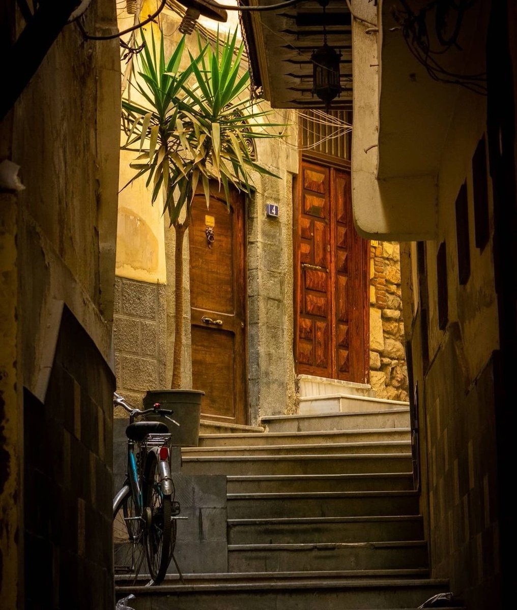 Damascus | دمشق

Abdelrahman Eb📸