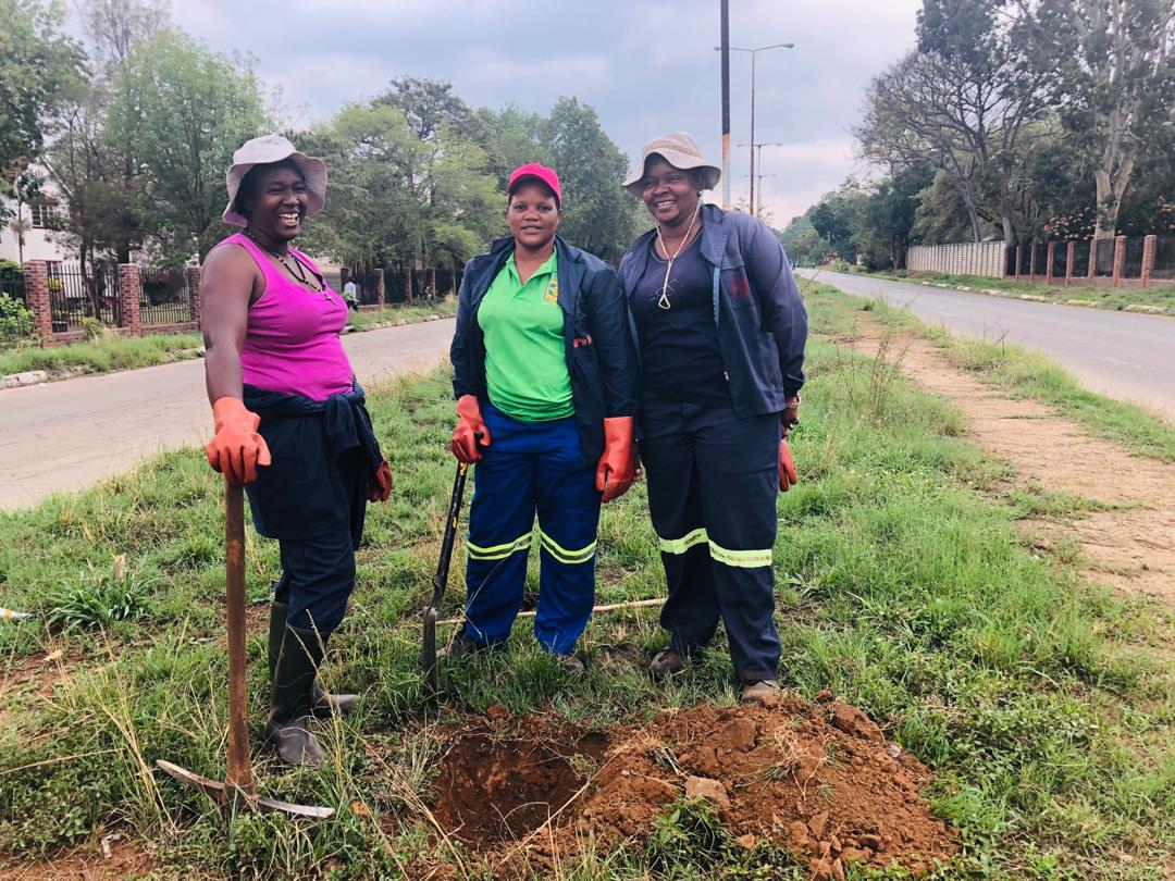 ZimTreeTrust's tweet photo. Yesterday we planted 70 Acacia Siberiana on Old Enterprise with @NLinZimbabwe and help from Hellenic School and @cohsunshinecity. Another step closer to our goal of 2000 trees planted this season! https://t.co/evJYQDtGdc