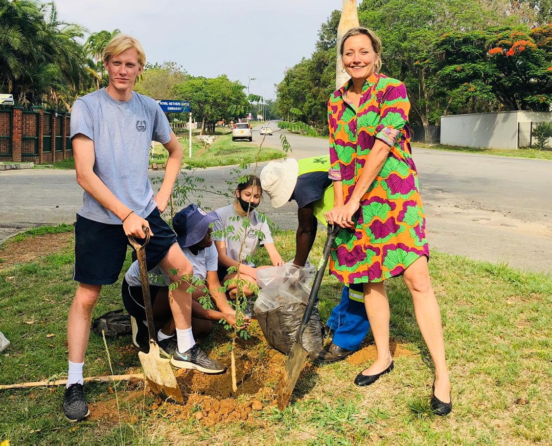 ZimTreeTrust's tweet photo. Yesterday we planted 70 Acacia Siberiana on Old Enterprise with @NLinZimbabwe and help from Hellenic School and @cohsunshinecity. Another step closer to our goal of 2000 trees planted this season! https://t.co/evJYQDtGdc