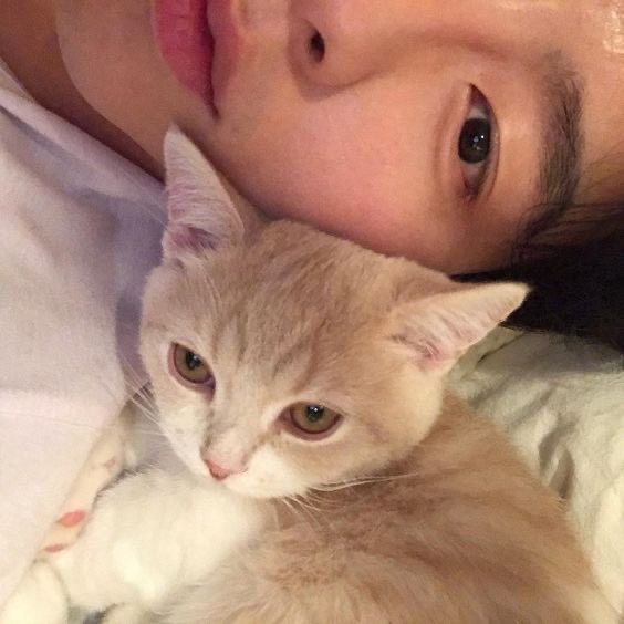 หาแม่ให้ลูกครับ อยู่สองคนกับพ่อมันเหงา🐱❤️
#เรียลชาย
RT:FF
❤️:DM

#บอทหาเพื่อน #บอทเงี่ยน #บอทหาเดมประจํา #บอทโสด #บอทหาเมีย #บอทเหงา #ยืมเมจforsrex #เรียลชาย #เรียลทํางาน