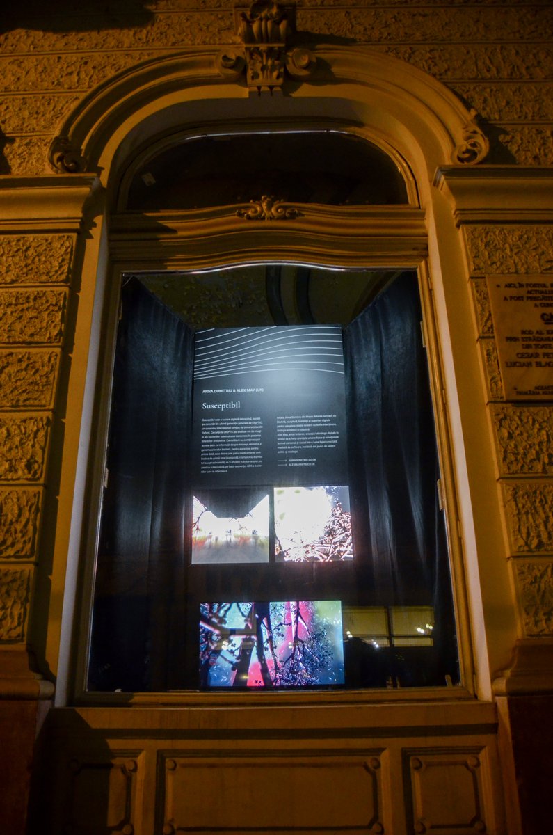 AnnaDumitriu's tweet photo. "Susceptible" and "ArchaeaBot: A Post Singularity and Post Climate Change Life-form" are part of EFECT DE LA MICRO LA MACRO in the #QUANTUMQUESTIONS 2020 Festival at in Cluj-Napoca, Romania from 24th Nov to 26th Dec 2020
https://t.co/RWo1ZKaHo9 #centrulculturalclujean #EMAP https://t.co/XHQrwv7N9g