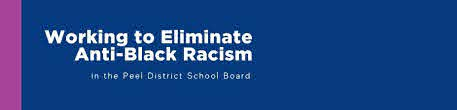 AdvocacyPeel's tweet photo. The @PeelSchools motion to surrender to @Sflecce stated it was for a period of 6 months. That time frame ends on or about December 31st, 2020. We need #BruceWayne to continue #Supervision. We need to unpack the #MinistryReview/#HugginsReports. #RacistTrustees https://t.co/MOM6aKf6AK