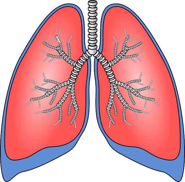 Tips For Healthy Lungs
healthydailydose.org/tips-for-healt…
#TipsForHealthyLungs